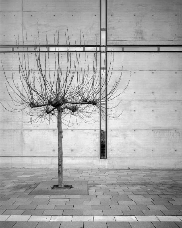 2024-03-07-0003